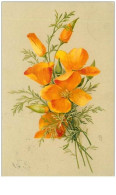 Delcampe - FLEURS.n°7642.FLEURS ORANGES VIVES - Sonstige & Ohne Zuordnung