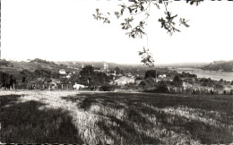 Delcampe - CPA Oudon Vue Generale - Oudon