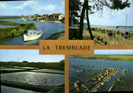 Delcampe - CPSM La Tremblade Les Bords De La Seudre Parcs à Huitres - La Tremblade