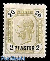 Delcampe - Austria 1890 2pia On 20kr, Stamp Out Of Set, Unused (hinged) - Ungebraucht