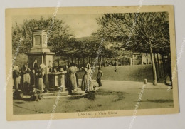 Delcampe - Ao757 Cartolina Larino Viale Elena E Viale Principale Campobasso Molise - Campobasso