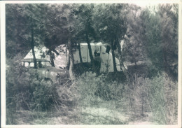 Delcampe - A81 - Lignano - Udine - Camping- Bozza Fotografica - Udine