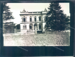 Delcampe - A765 - Vidigulfo - Pavia - Bozza Fotografica - Pavia