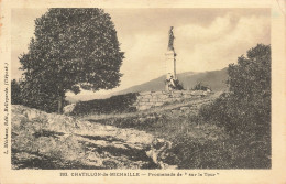 Delcampe - 1 CHATILLON DE MICHAILLE SUR LA TOUR - Châtillon-sur-Chalaronne