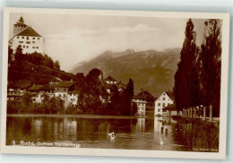 Delcampe - 9470 Buchs SG - Schloss Werdenberg Schwäne - 10591383 - Buchs