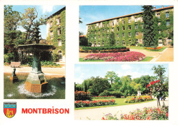 Delcampe - 42 MONTBRISON JARDIN D ALLARD - Montbrison