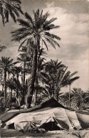 Delcampe - ALGERIE SCENES ET TYPES NOMADES ET OASIS - Szenen