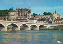Delcampe - 37 AMBOISE LE CHÂTEAU - Amboise