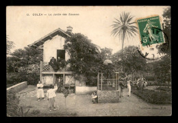 Delcampe - ALGERIE - COLEA - KOLEA - JARDIN DES ZOUAVES - Sonstige & Ohne Zuordnung