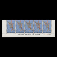 Delcampe - Barbados 1977 (MNH) 10c Arachnis Maggie Oei Imprint/plate Strip - Barbados (1966-...)