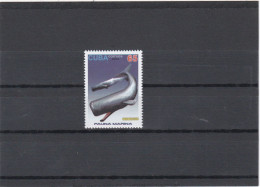 Delcampe - CUBA 2015 DOLPHIN MNH. - Delfine