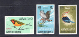 Delcampe - 1964 Giordania - Posta Aerea - Gibbons 627/29 - Uccelli - Non Dentellati MNH** - Sonstige & Ohne Zuordnung