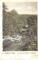Delcampe - La Vallée Du Bocq - Le Bocq Entre Spontin Et Bauche (colorisée Vanderauwera 1901) - Yvoir