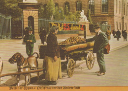Delcampe - Germany Berlin Fruit Seller With Dog Cart In Front Of Unposted *YAX343 - Sonstige & Ohne Zuordnung