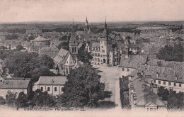 Delcampe - 67 HAGUENAU VUE GENERALE - Haguenau