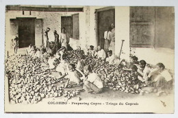 Delcampe - CEYLON CEYLAN CARD COLOMBO PREPARING COPRA - Sri Lanka (Ceylon)