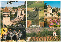 Delcampe - Carte Postale - Vignes - Vignoble De Cahord - Multivues - CPM - Carte Neuve - Voir Scans Recto-Verso - Poscard - Carta P - Weinberge