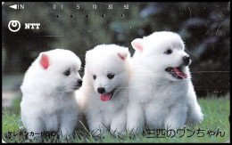 Delcampe - 0038/ Discount Télécarte (phone Card) Japon (japan) Chiens (dogs) - Japan