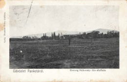 Delcampe - CPA üdvözlet Pankotáról-Pancota-Pankota-Brasserie-TRES RARE-Timbre    L4697 - Ungarn