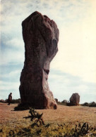 Delcampe - CARNAC Alignement Du Menec Le Menhir Appele Le Geant 20(scan Recto-verso) MA1273 - Carnac