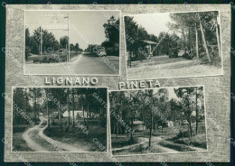Delcampe - Udine Lignano Pineta Corso Dei Fiori Campeggio FG Foto Cartolina RT4407 - Udine