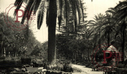 Delcampe - MÁLAGA. Jardines Del Parque. ANDALUCÍA ESPAÑA ESPAGNE - Malaga