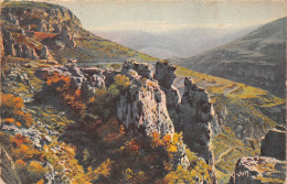 Delcampe - 48-GORGES DU TARN-N°T2633-D/0331 - Gorges Du Tarn