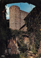 Delcampe - Cite Medievale De PEROUGES La Tour Du Guet 18(scan Recto-verso) MA1303 - Pérouges