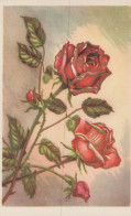 Delcampe - English Red Roses Floral Art Botanical Hand Colored Lithograph Unposted #SCS714 - Blumen