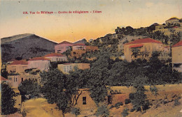 Delcampe - Liban - BIKFAYA - Centre De Villégiature - Ed. Vahan H. Ouzounian 118 - Libanon