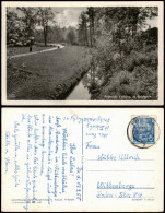 Delcampe - Ansichtskarte Pritzwalk Frühling Im Stadtpark Zur DDR-Zeit 1958 - Pritzwalk