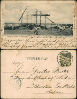 Delcampe - .Ungarn Ökörgulya Itatása A Hortobágyon. Magyar Schäfer Herde 1919 - Ungarn