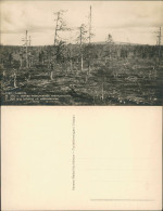 Delcampe - Postcard Inari Lappland Inari.-Laanila. Fotokarte 1929  Suomi Finland - Finnland