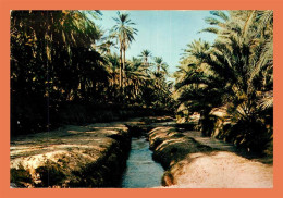 Delcampe - A550 / 309 TUNISIE Tozeur Partage Des Eaux Dans L'oasis - Tunisia