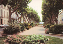 Delcampe - 84 PERTUIS COURS DE LA REPUBLIQUE - Pertuis