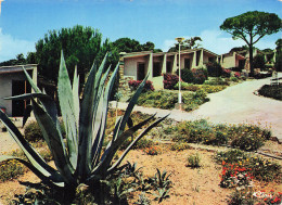 Delcampe - 83 SAINTE MAXIME HOTEL MAXIMA 2000 - Sainte-Maxime