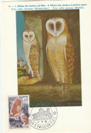 Delcampe - Monaco Carte Maximum 1962  - Oiseau - Effraie Des Clochers Du Rhin - Eulenvögel