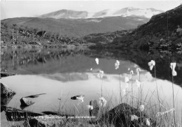Delcampe - Us8078 Utsikt Fra Grotli Hotell Mot Skridulaupen Norge Norway - Norvegia