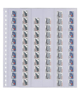 Delcampe - Klarsichthülle Mit 6 Senkrechten Streifen (36 X 296 Mm) Für Rollenmarkenstreifen, Mit Schwarzem Zwischenblatt, 10er-P - Altri & Non Classificati