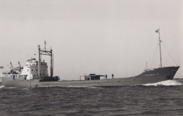 Delcampe - SAREBEKA V Cargo Ship Postcard Size Real Photo #SDK088 - Handel