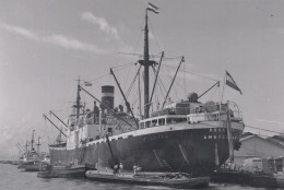 Delcampe - BOSKOOP Cargo Ship Amsterdam Postcard Size Real Photo #SDK483 - Handel