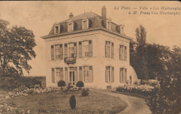 Delcampe - DE PINTE      VILLA. LES HYDRANGEAS A M FRANZ VAN OVERBERGHE - De Pinte