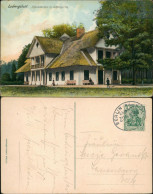 Delcampe - Ansichtskarte Ludwigslust Schweizerhaus Im Schlossgarten 1906 - Ludwigslust