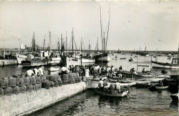 Delcampe - 29* LESCONIL La Cale (CPSM 9x14cm)      RL23,0195 - Lesconil
