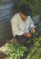 Delcampe - Finland Man Making Birch Sauna Whisks Finnish Rural Life #SDS241 - Finlande