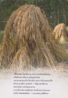 Delcampe - Finland Puntainen Village Rye Sheaves Wanha Waasa Grain Harvest #SDS237 - Werbepostkarten