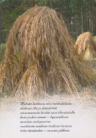 Delcampe - Finland Modern Traditional Rye Stacks In Field With Finnish Unposted #SDS238 - Werbepostkarten