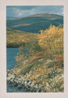 Delcampe - Finland Autumn Foliage Fells Landscape Lake Shore Nature Scenic #SDS231 - Finlande