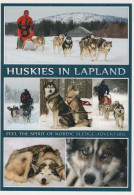 Delcampe - Finland Lapland Huskies Sledding Winter Expedition Adventure Unposted #SDS216 - Santa Claus