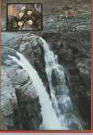 Delcampe - Finland Lapland Waterfall And White Flowers Nature Landscape Unposted #SDS230 - Blumen